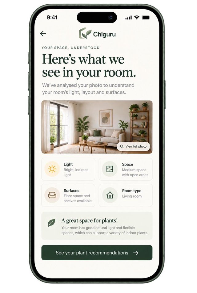 Chiguru screen showing a living room photo with light, space and surface conditions identified